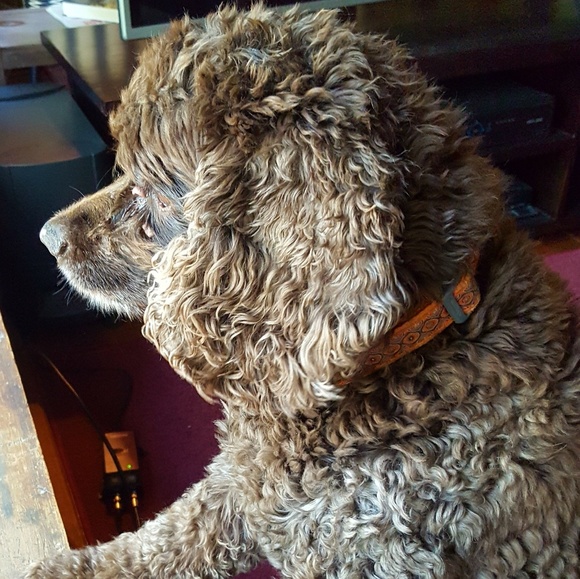 Meet your Posher, Alexandra - Picture 8 of 13